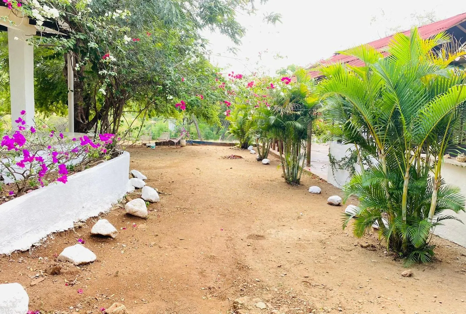 Hostal Olas Club De Neguanje -Tayrona Santa Marta  0*, Santa Marta (Magdalena) Colombia