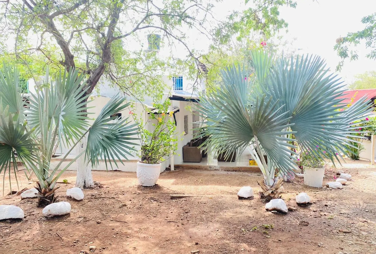 Hostal Olas Club De Neguanje -Tayrona Santa Marta  Casa rural