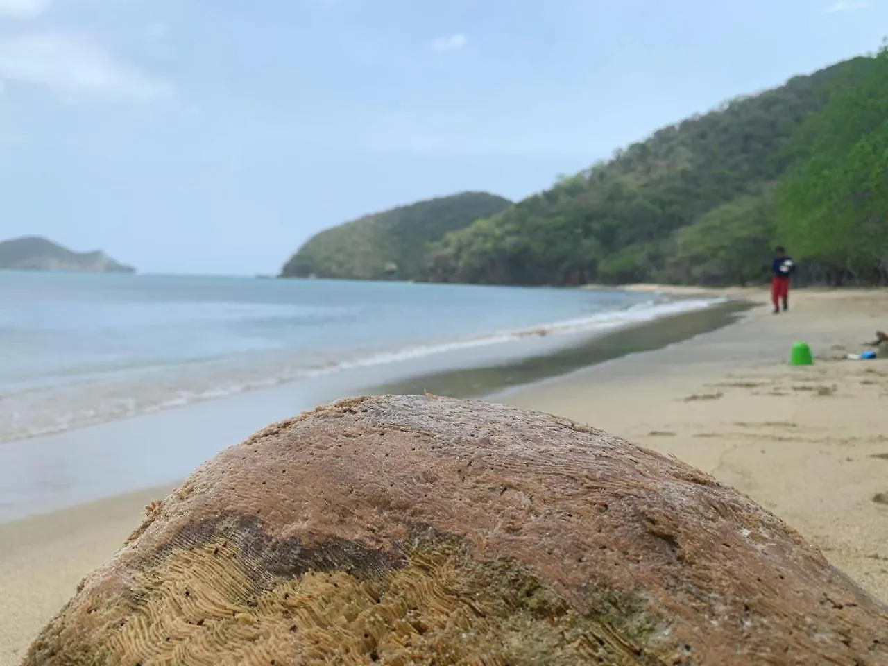 Casa rural Hostal Olas Club De Neguanje -Tayrona Santa Marta  Colombia